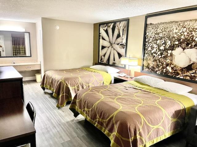 スーパー 8 バイ ウインダム ベイ セント ルイス Bay St. Louis エクステリア 写真